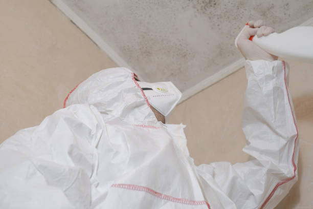 Professional Mold Remediation in Eagle Butte, SD